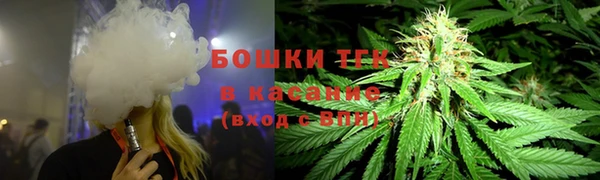 крисы Армянск