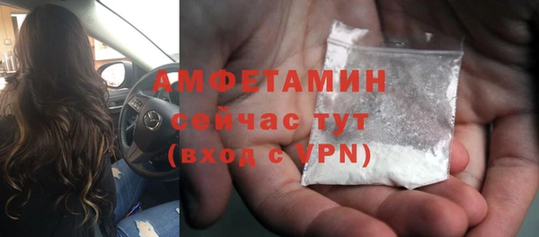 крисы Армянск