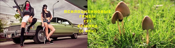 мдпв Арсеньев